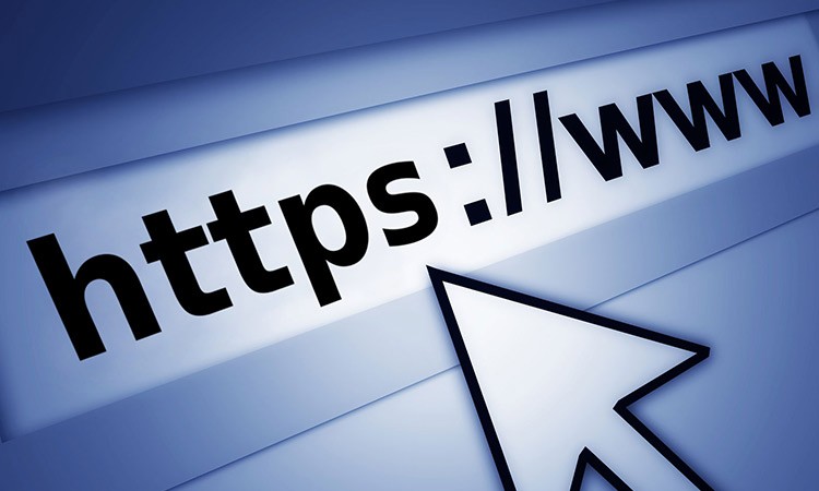 novy web